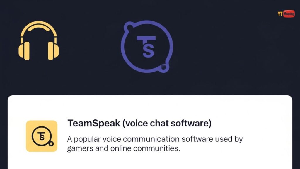Meanings of TS in Chat