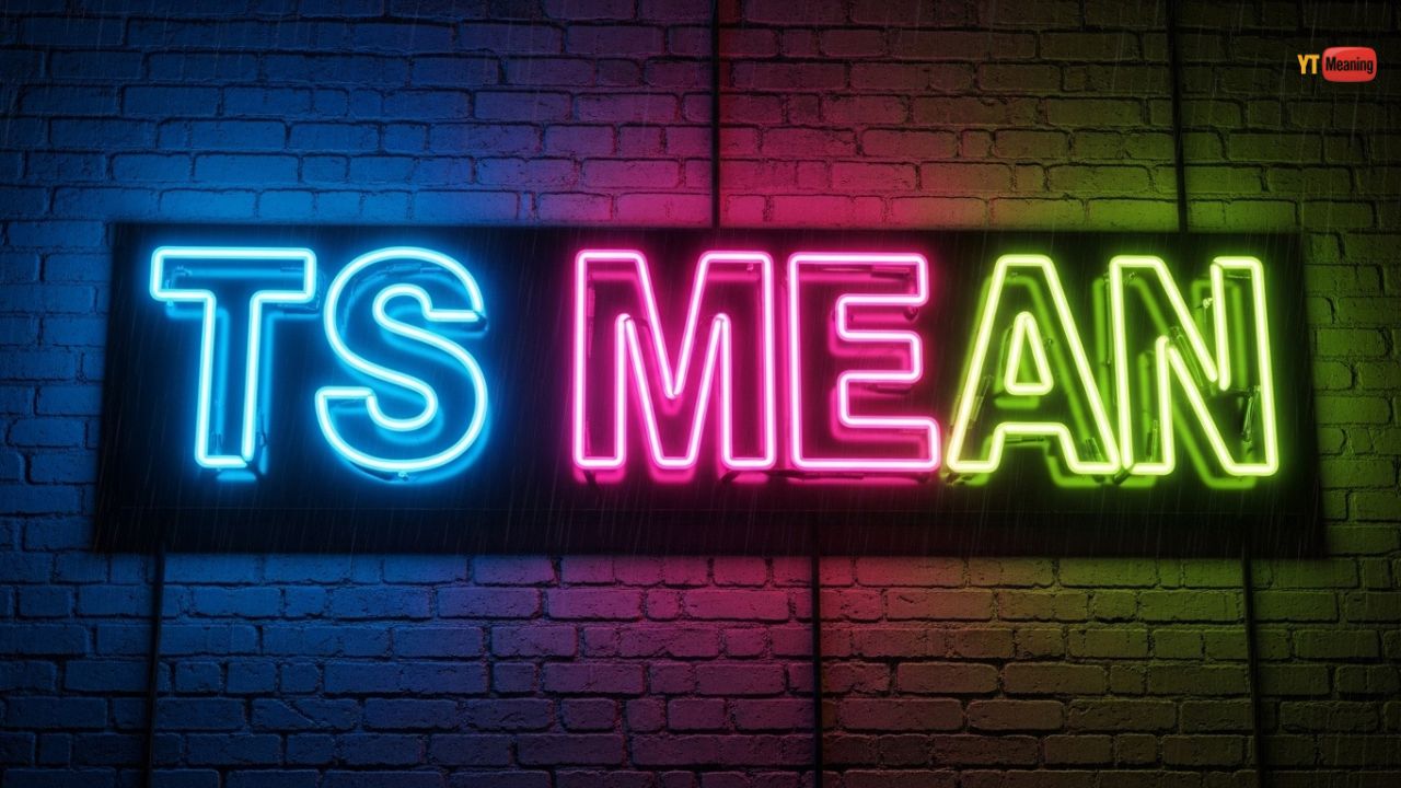 TS Mean in Text