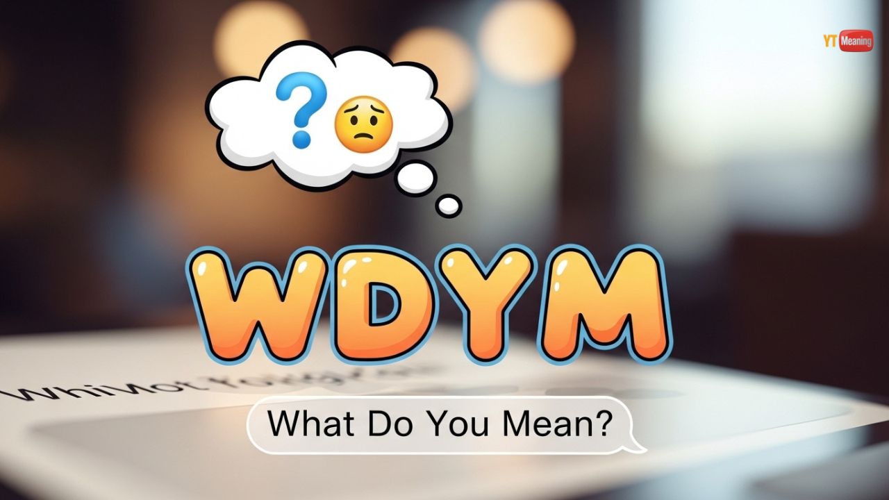 WDYM Mean