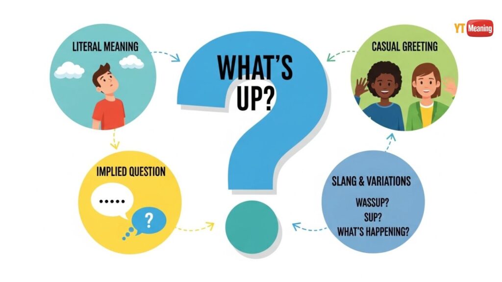 WS = “What’s Up?” Explained