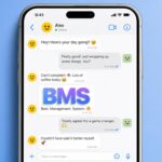 BMS Mean in Text?