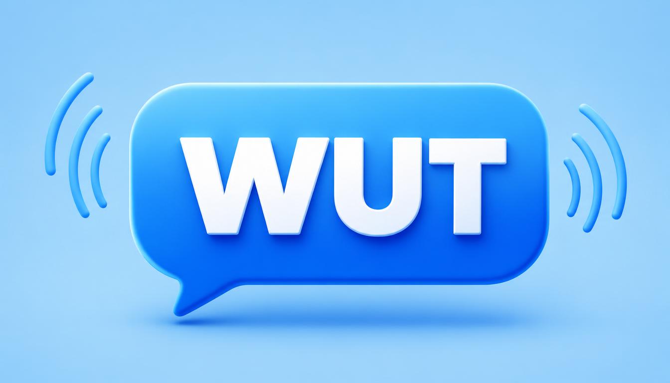 WUT Mean in Text?
