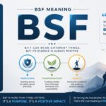 BSF Meaning