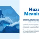 Huzz Meaning